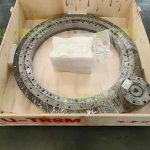 輸入端和輸出端在同一方向的齒輪式回轉驅動